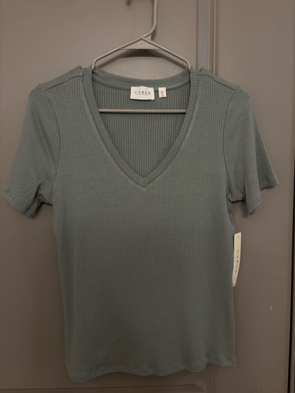 Cyrus Ribbed V-Neck Short Sleeve Top in Sage